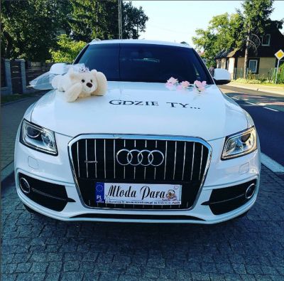 Samochód do ślubu - Puławy biały Audi Q5 2.0 TDI