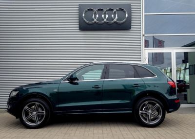 Samochód do ślubu - Wrocław zielony Audi Exclusive Q5 S-Line  2.0