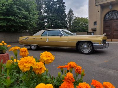 Samochód do ślubu - Sady złoty Cadillac Deville 