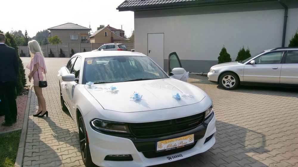 Samochód do ślubu - Kraków biały Dodge Charger 5.7 hemi