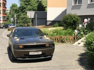 Samochód do ślubu - Bytom złoty Dodge challenger SRT-8 6.1 V8