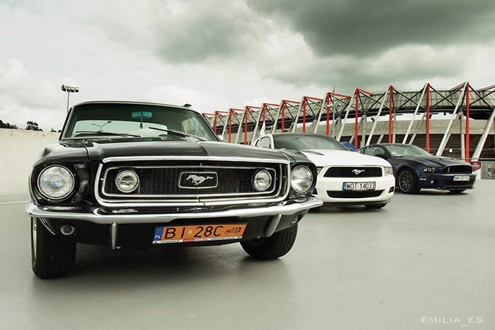 Samochód do ślubu - Białystok czarny Ford Mustang 5.0 V8