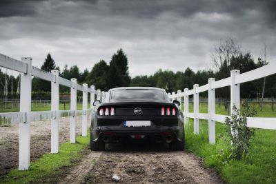 Samochód do ślubu - Katowice czarny Ford Mustang 5.0
