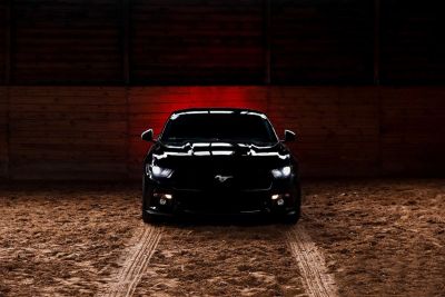 Samochód do ślubu - Katowice czarny Ford Mustang 5.0