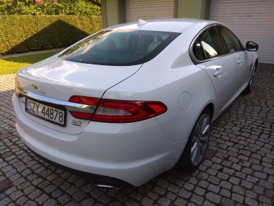Samochód do ślubu - Bielsko-Biała biały Jaguar XF V6 3.0 340 KM