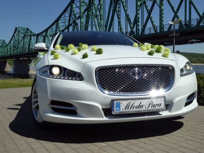Samochód do ślubu - Włocławek biały Jaguar XJ L 