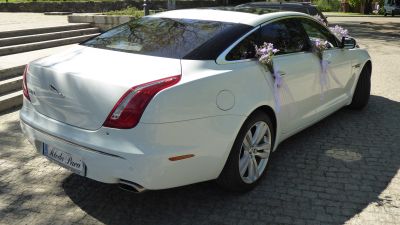 Samochód do ślubu - Włocławek biały Jaguar XJ L 