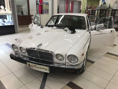 Samochód do ślubu - Tarnów biały Jaguar Xj12 5300 12v