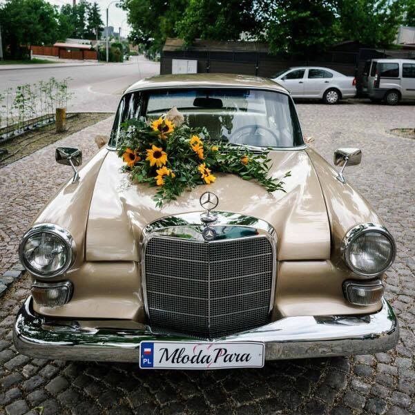 Samochód do ślubu - Augustów biały Mercedes-Benz w110 