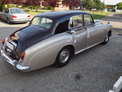 Samochód do ślubu - Rydzyna złoty Rolls Royce Silvercloud 