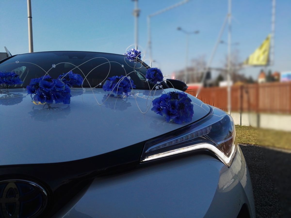 Samochód do ślubu - Chełm biały Toyota C-HR 